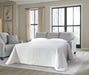 Adlai Sofa Sleeper - Woo Town Furniture (Worcester,MA)