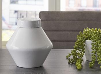 Domina Jar (Set of 2) - Woo Town Furniture (Worcester,MA)