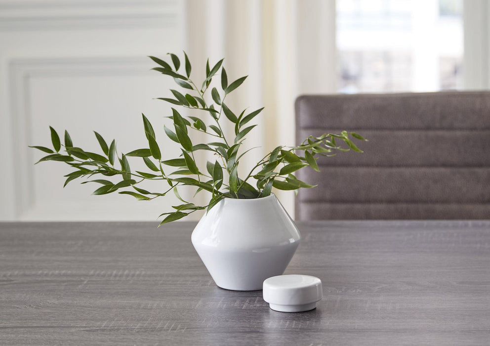 Domina Jar (Set of 2) - Woo Town Furniture (Worcester,MA)