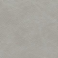 Amiata Upholstery Package - Woo Town Furniture (Worcester,MA)