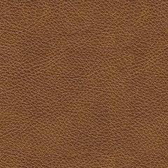 Carianna Ottoman - Woo Town Furniture (Worcester,MA)