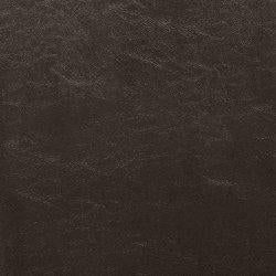 Kimonte Dining Chair - Woo Town Furniture (Worcester,MA)