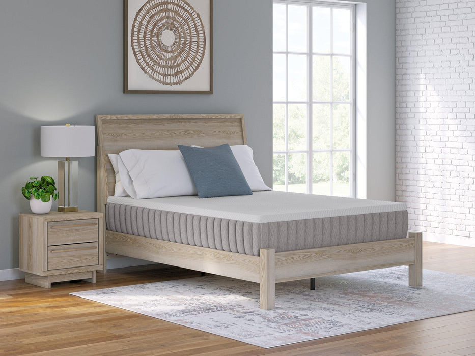 Terra Sleep Firm Mattress - Woo Town Furniture (Worcester,MA)