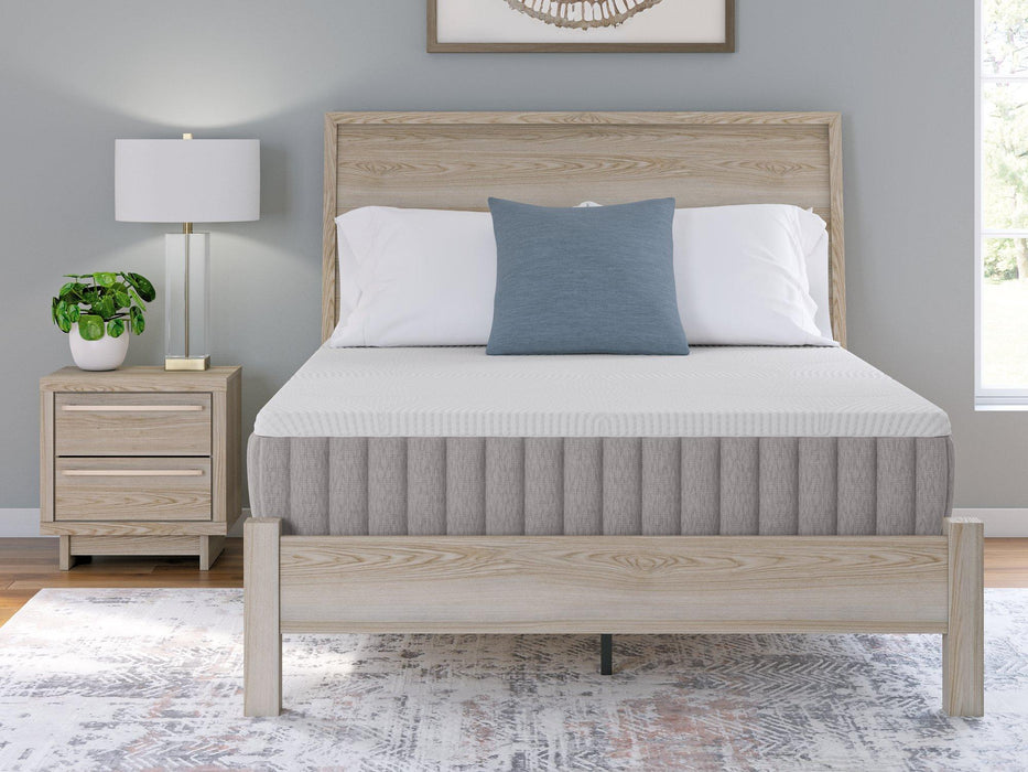 Terra Sleep Firm Mattress - Woo Town Furniture (Worcester,MA)