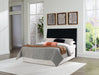 Danziar Bed - Woo Town Furniture (Worcester,MA)