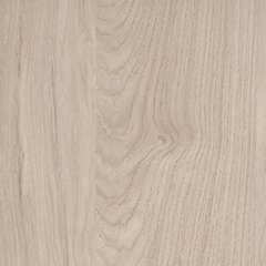 Cadmori Upholstered Bed - Woo Town Furniture (Worcester,MA)