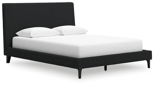 Cadmori Upholstered Bed with Roll Slats - Woo Town Furniture (Worcester,MA)