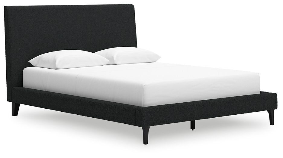 Cadmori Upholstered Bed with Roll Slats - Woo Town Furniture (Worcester,MA)