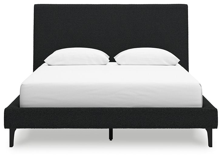 Cadmori Upholstered Bed with Roll Slats - Woo Town Furniture (Worcester,MA)