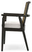 Galliden Dining Arm Chair - Woo Town Furniture (Worcester,MA)