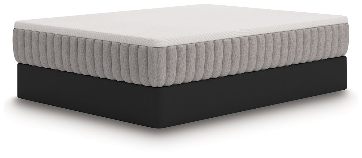 Terra Sleep Medium Mattress - Woo Town Furniture (Worcester,MA)