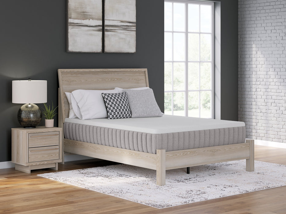 Terra Sleep Medium Mattress - Woo Town Furniture (Worcester,MA)