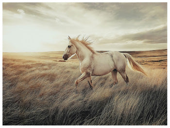 Errolville Wall Art - Woo Town Furniture (Worcester,MA)