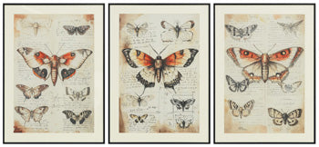 Jossletts Wall Art (Set of 3) - Woo Town Furniture (Worcester,MA)