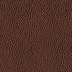 Next Move Power Recliner - Woo Town Furniture (Worcester,MA)